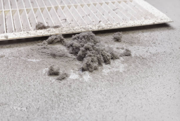 Best Local Air Duct Cleaning Services  in South Amherst, OH