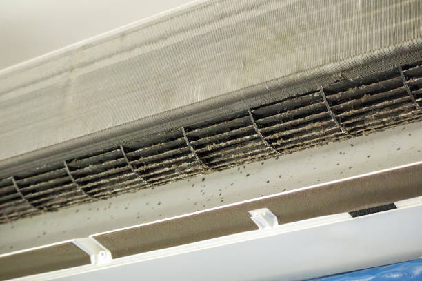 Best Affordable Air Duct Cleaning  in South Amherst, OH